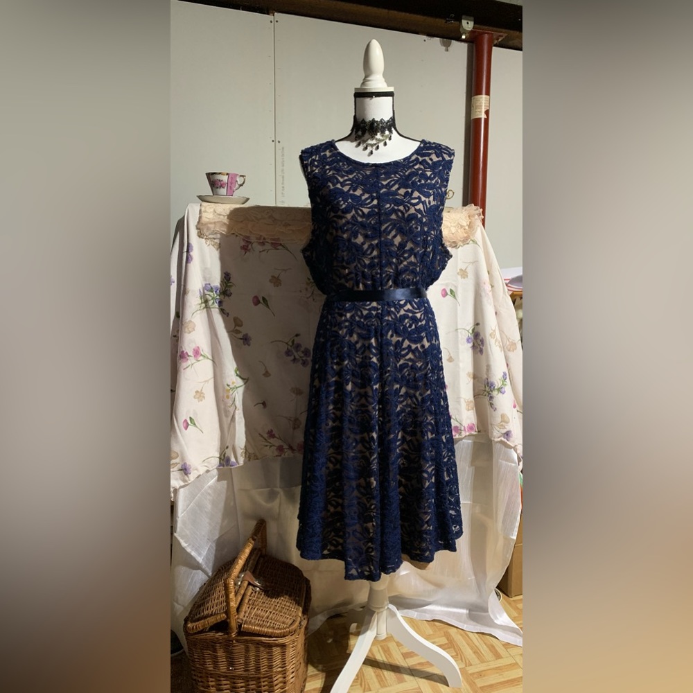 Haani Navy Blue and Beige Lace Dress